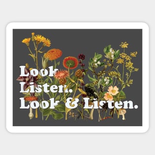 Look. Listen. Look & Listen. - My Favorite Murder Fan Art Sticker